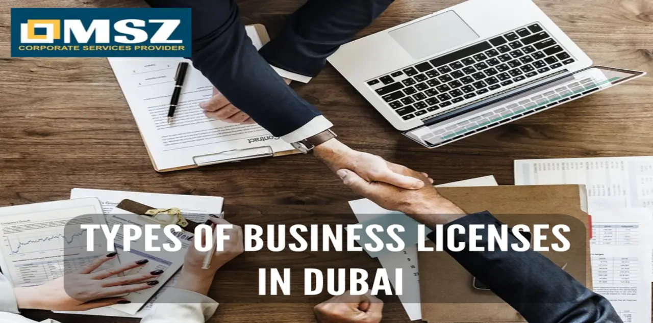 What are the types of business licenses in Dubai?